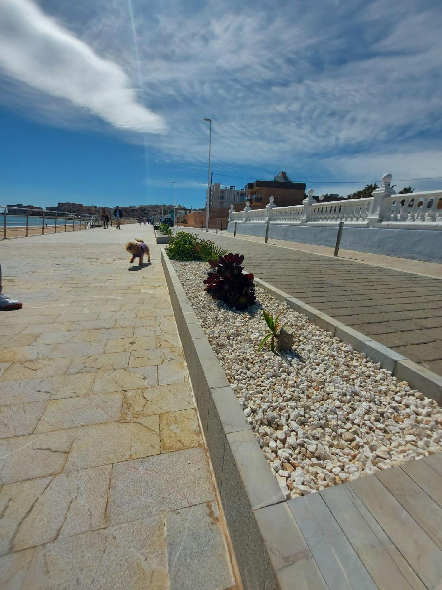 Maravillosa Terraza Con Vistas Al Mar, La Mata Торевьиа Экстерьер фото