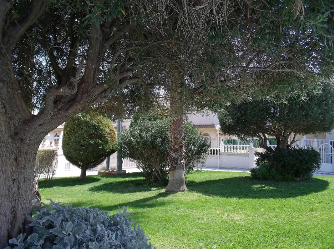 Maravillosa Terraza Con Vistas Al Mar, La Mata Торевьиа Экстерьер фото